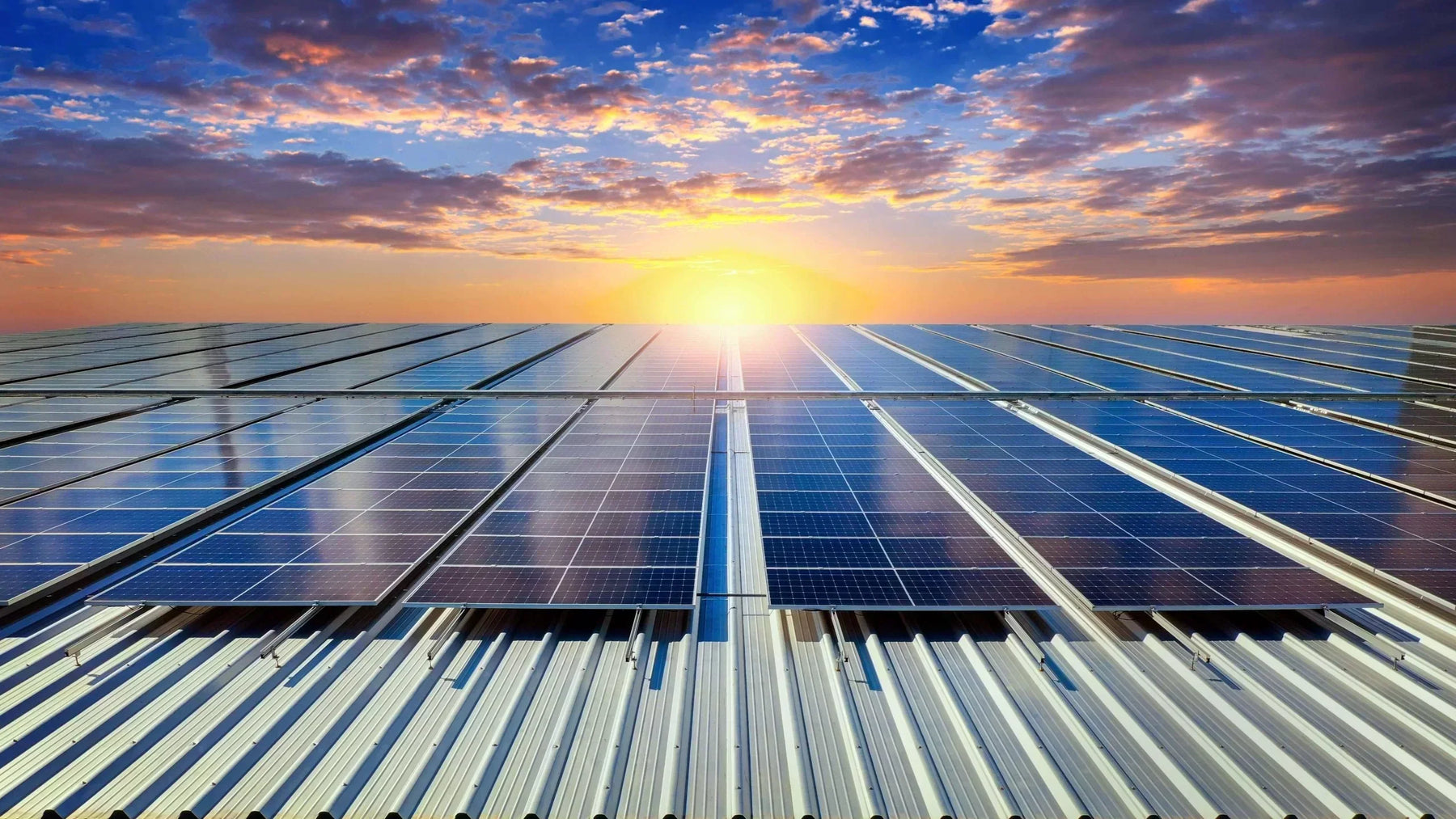 Which Type of Solar Panel Is Best? Find Out Now