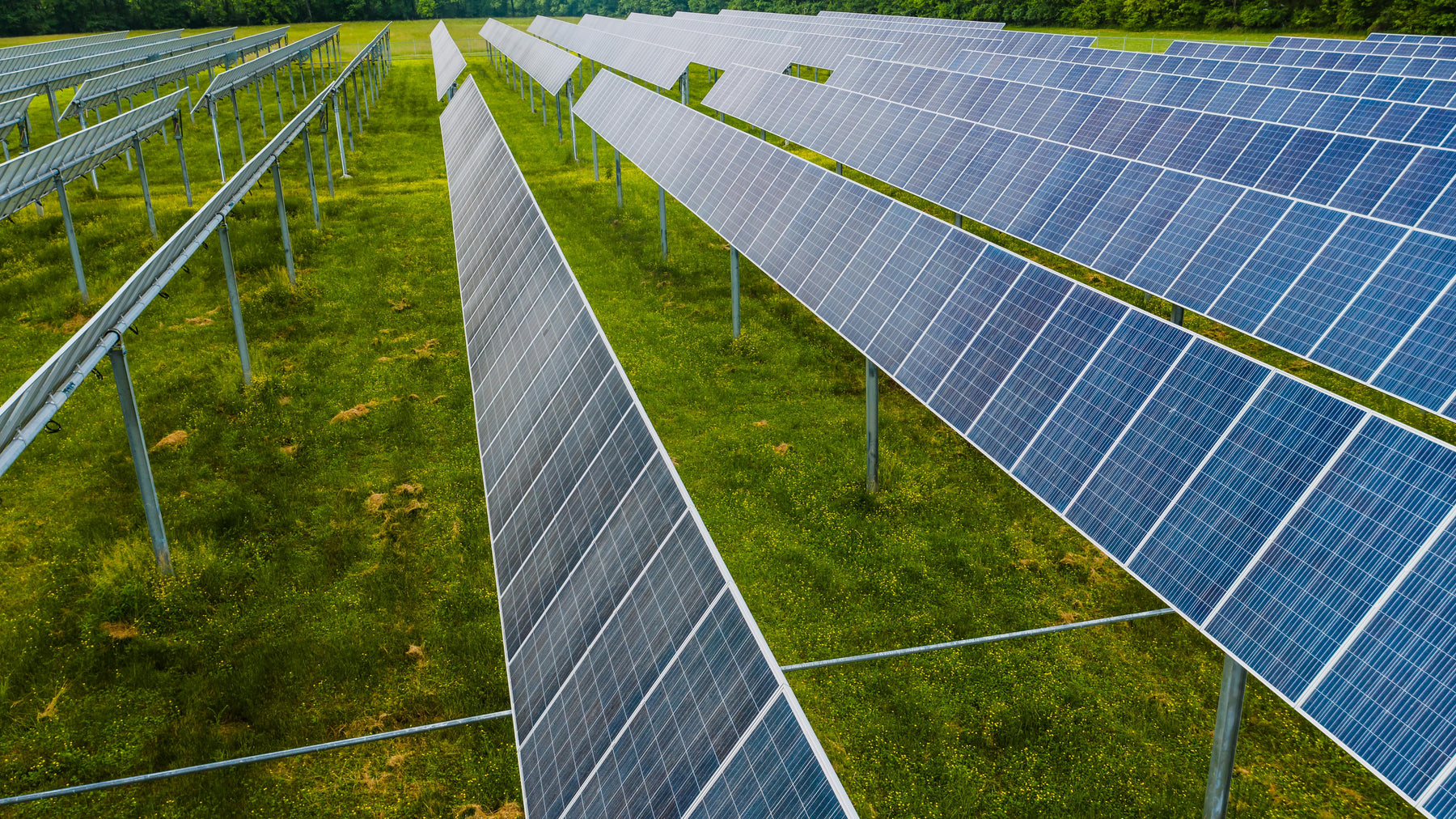 Off-Grid Solar Systems in a garden with pallet of solar panels