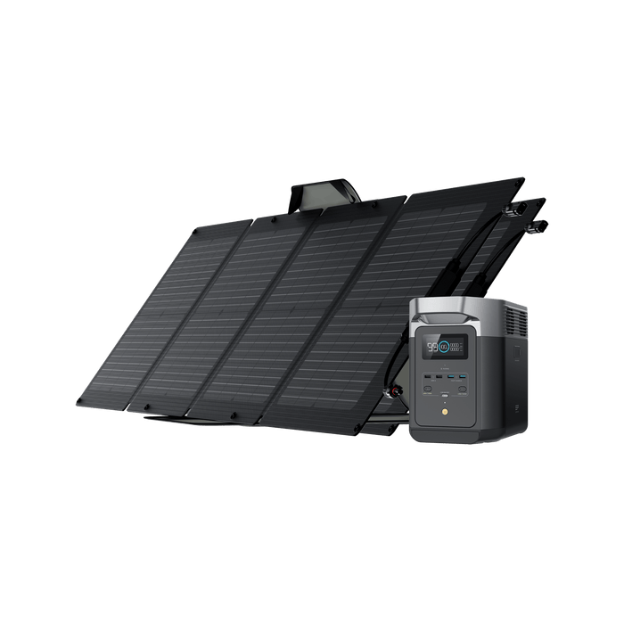 EcoFlow US Bundle 2*110W + DELTA 2 EcoFlow DELTA 2 + 110W Portable Solar Panel